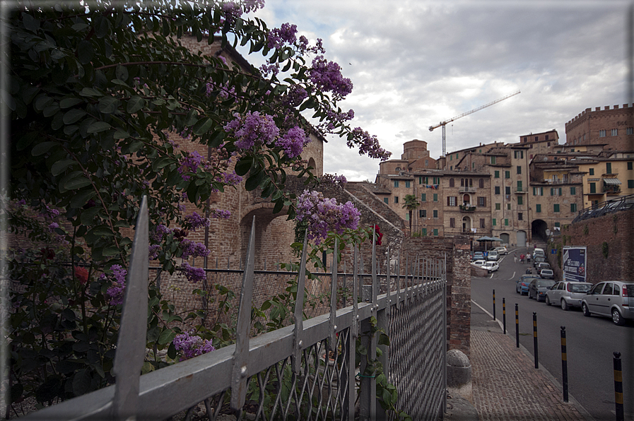 foto Siena